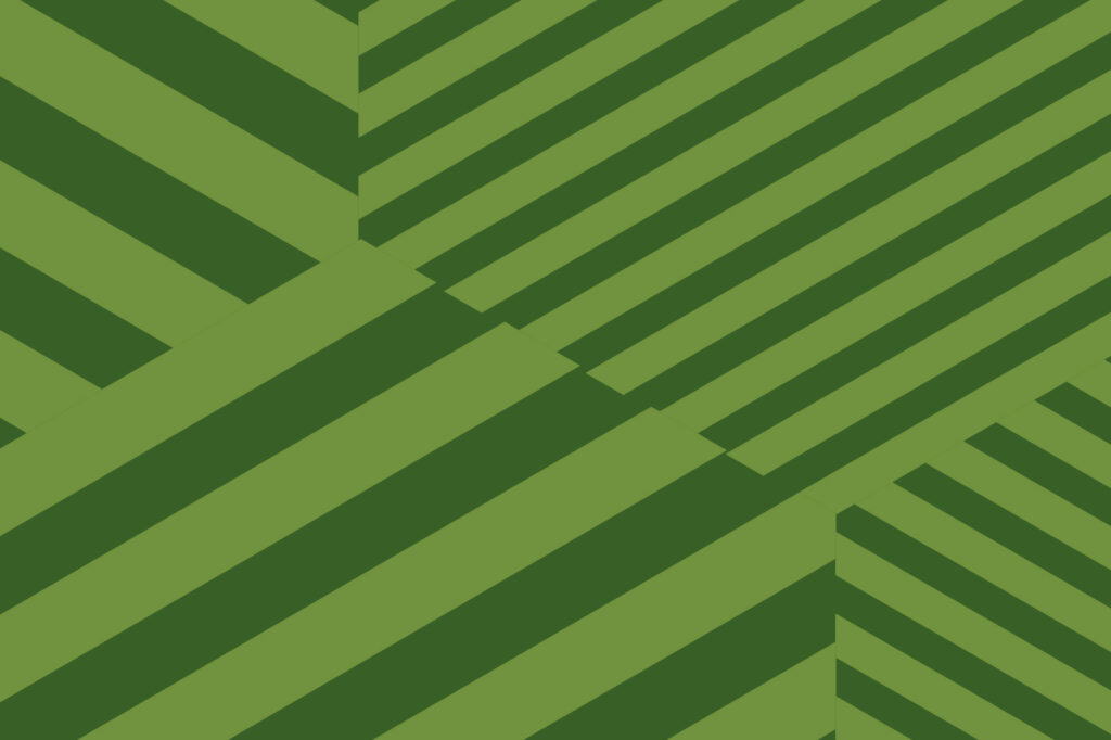 Lime and green accent bars